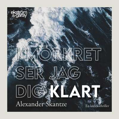 I mörkret ser jag dig klart - Alexander Skantze.