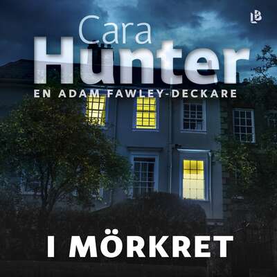 I mörkret - Cara Hunter.