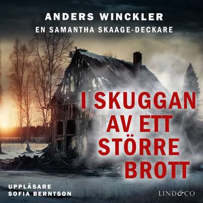 I skuggan av ett större brott - Anders Winckler.