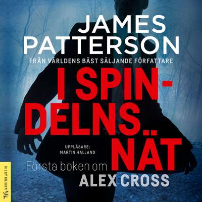 I spindelns nät - James Patterson.