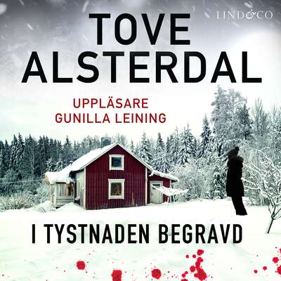 I tystnaden begravd - Tove Alsterdal.