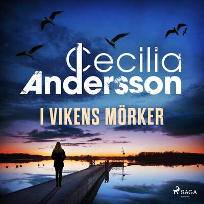 I vikens mörker - Cecilia Andersson.