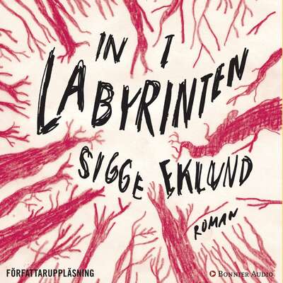 In i labyrinten - Sigge Eklund.