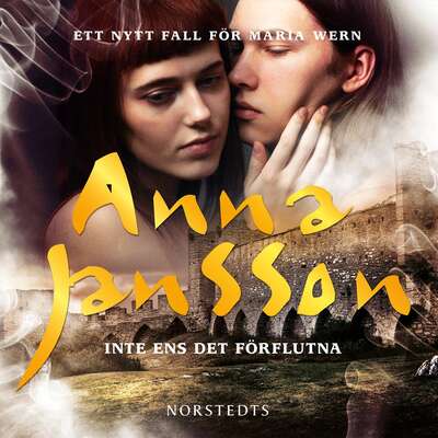 Inte ens det förflutna - Anna Jansson.