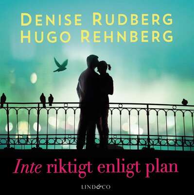 Inte riktigt enligt plan - Denise Rudberg och Hugo Rehnberg.