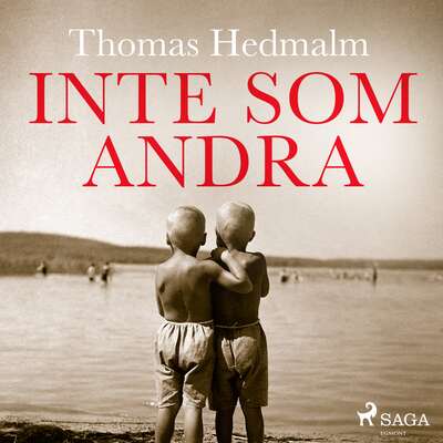 Inte som andra - Thomas Hedmalm.