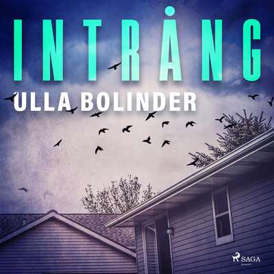 Intrång - Ulla Bolinder.