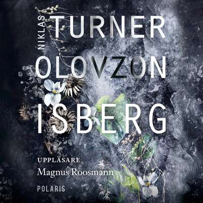 Isberg - Niklas Turner Olovzon.