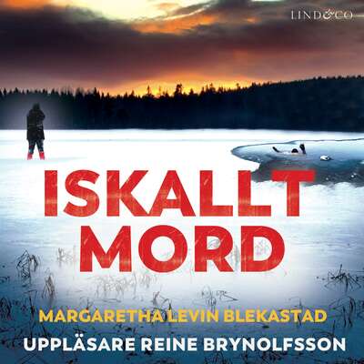 Iskallt mord - Margaretha Levin Blekastad.