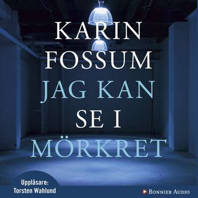 Jag kan se i mörkret - Karin Fossum.