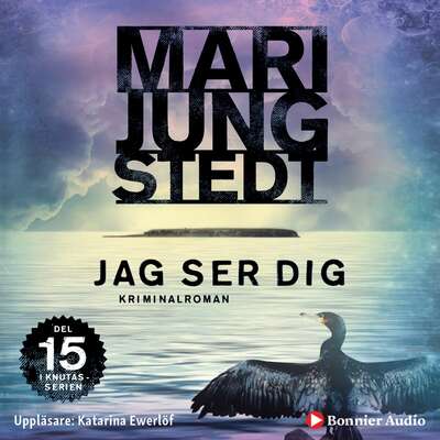 Jag ser dig - Mari Jungstedt.