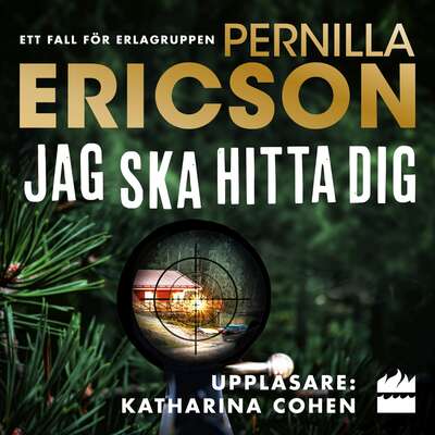 Jag ska hitta dig - Pernilla Ericson.