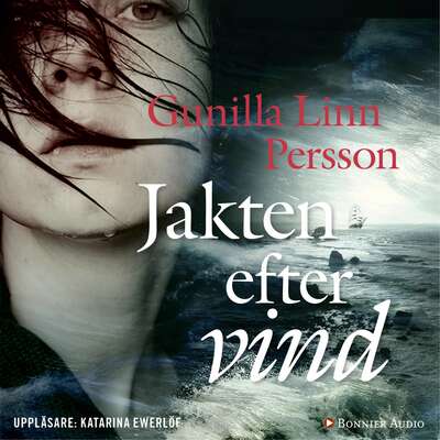 Jakten efter vind - Gunilla Linn Persson.