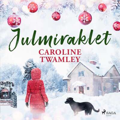 Julmiraklet - Caroline Twamley.