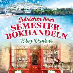 Julstorm över Semesterbokhandeln