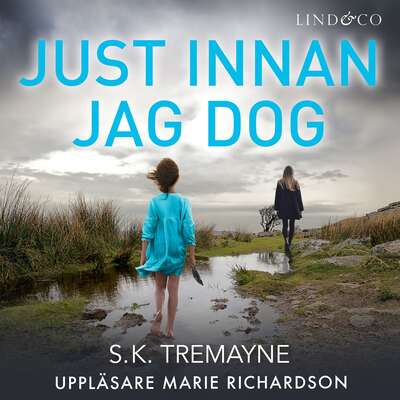 Just innan jag dog - S.K. Tremayne.