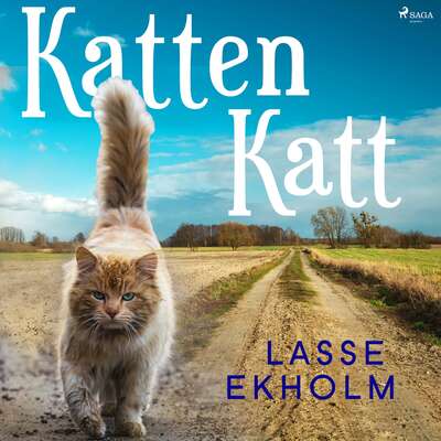 Katten Katt - Lasse Ekholm.