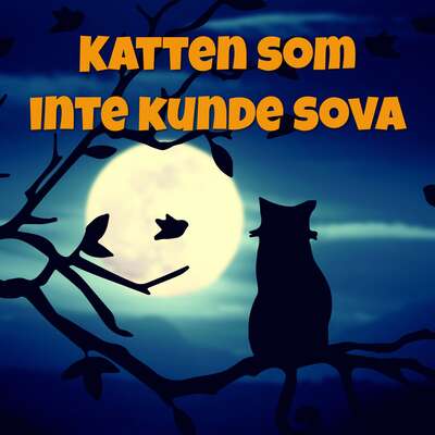 Katten som inte kunde sova - Anders Björk.