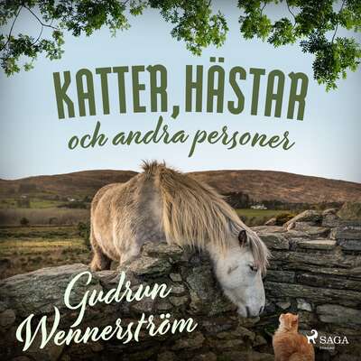 Katter, hästar och andra personer - Gudrun Wennerström.