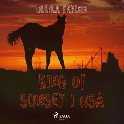 King of Sunset i USA - Ulrika Ekblom.