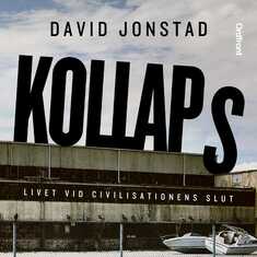 Kollaps