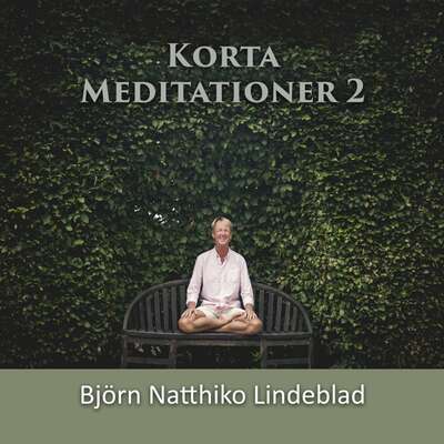 Korta Meditationer 2 - Björn Natthiko Lindeblad.