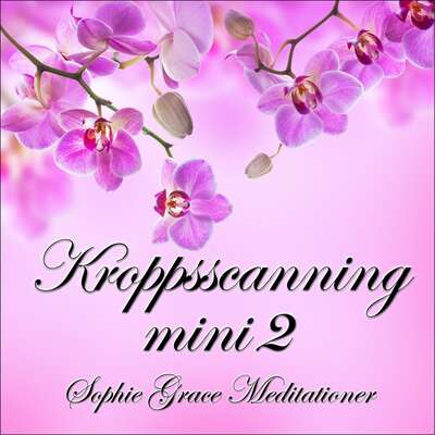 Kroppsscanning mini 2 - Sophie Grace Meditationer .