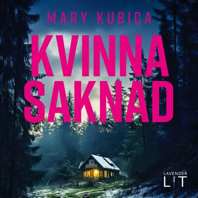 Kvinna saknad - Mary Kubica.