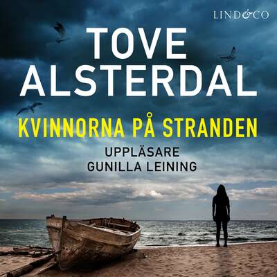 Kvinnorna på stranden - Tove Alsterdal.