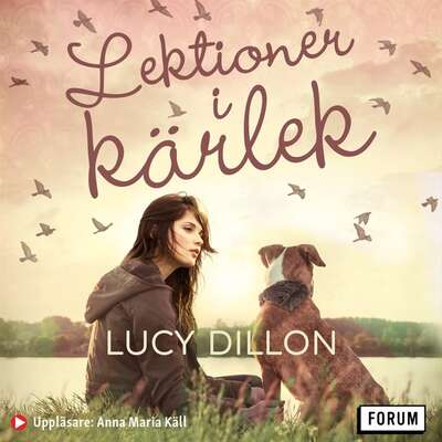 Lektioner i kärlek - Lucy Dillon.