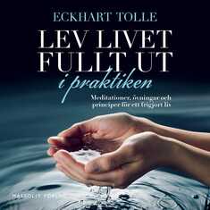 Lev livet fullt ut i praktiken : meditationer, övningar och principer för ett frigjort liv