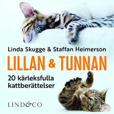 Lillan och Tunnan: 20 kärleksfulla kattberättelser