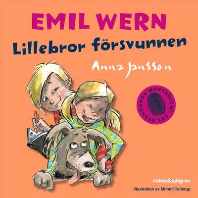 Lillebror försvunnen - Anna Jansson.