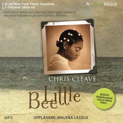 Little Bee - Chris Cleave.