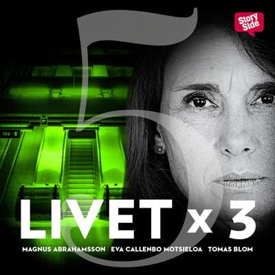 Livet x 3 - säsong 1 del 5 - Tomas Blom, Magnus Abrahamsson och Eva Callenbo Motsieloa.