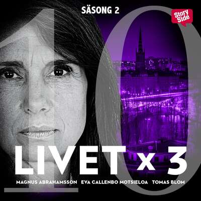 Livet x 3 - säsong 2 del 10 - Tomas Blom, Magnus Abrahamsson och Eva Callenbo Motsieloa.