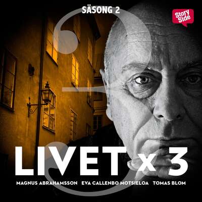 Livet x 3 - säsong 2 del 3 - Tomas Blom, Magnus Abrahamsson och Eva Callenbo Motsieloa.