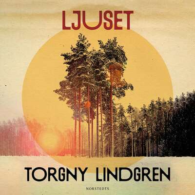 Ljuset - Torgny Lindgren.