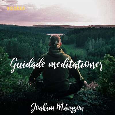 Ljusmeditation - Joakim Månsson.