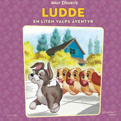 Ludde. En liten valps äventyr - Annie North Bedford.