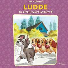 Ludde. En liten valps äventyr