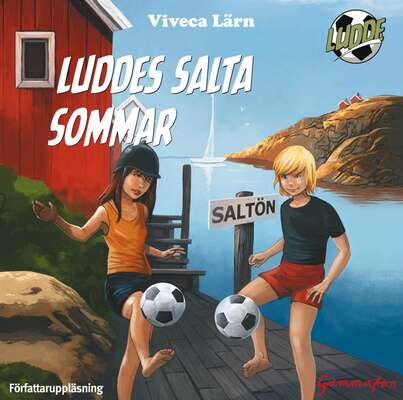 Luddes salta sommar - Viveca Lärn.