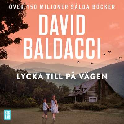 Lycka till på vägen - David Baldacci.