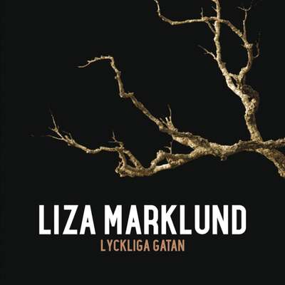 Lyckliga gatan - Liza Marklund.