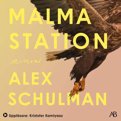 Malma station - Alex Schulman.