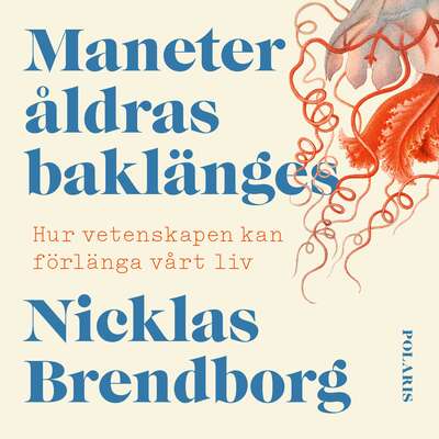 Maneter åldras baklänges - Nicklas Brendborg.