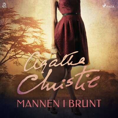 Mannen i brunt - Agatha Christie.