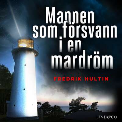 Mannen som försvann i en mardröm - Fredrik Hultin.