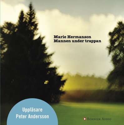 Mannen under trappan - Marie Hermanson.