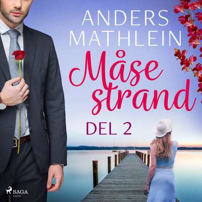 Måsestrand del 2 - Anders Mathlein.